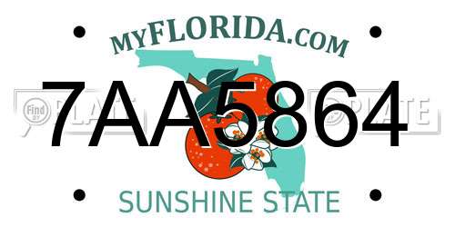 7AA5864 Florida License Plate