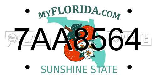 7AA8564 Florida License Plate