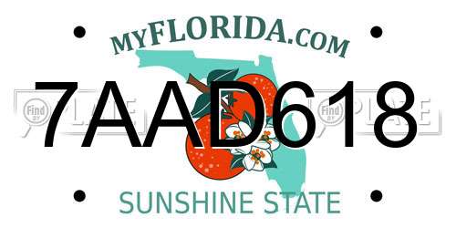 7AAD618 Florida License Plate