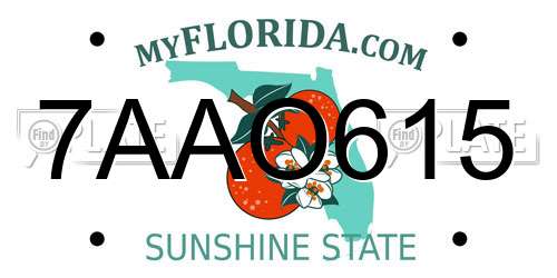 7AAO615 Florida License Plate