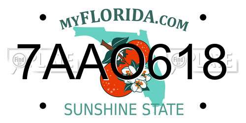 7AAO618 Florida License Plate