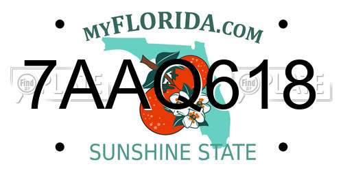 7AAQ618 Florida License Plate