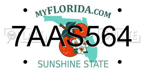 7AAS564 Florida License Plate