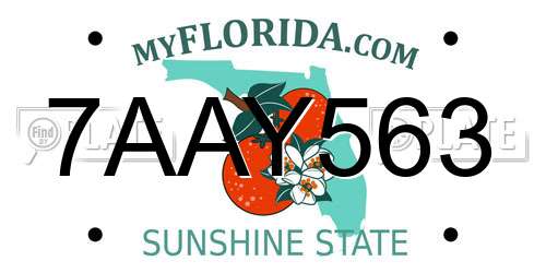 7AAY563 Florida License Plate
