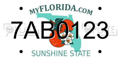 7AB0123 Florida License Plate