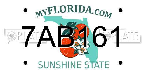 7AB161 Florida License Plate