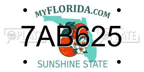 7AB625 Florida License Plate