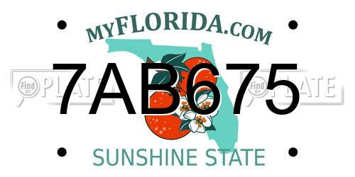 7AB675 Florida License Plate