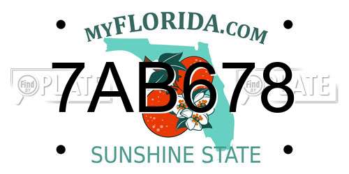 7AB678 Florida License Plate