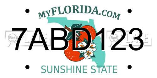 7ABD123 Florida License Plate