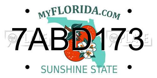 7ABD173 Florida License Plate