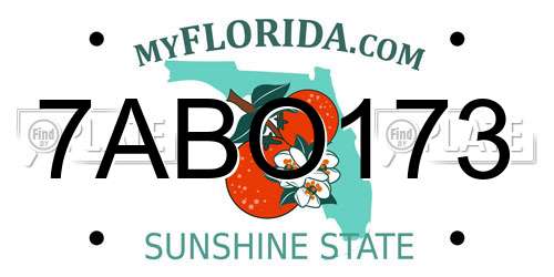 7ABO173 Florida License Plate