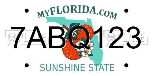 7ABQ123 Florida License Plate