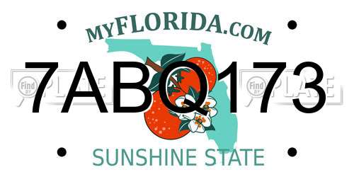 7ABQ173 Florida License Plate
