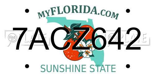 7ACZ642 Florida License Plate