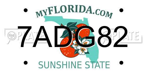 7ADG82 Florida License Plate