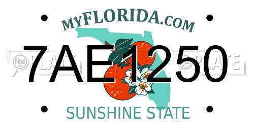 7AE1250 Florida License Plate