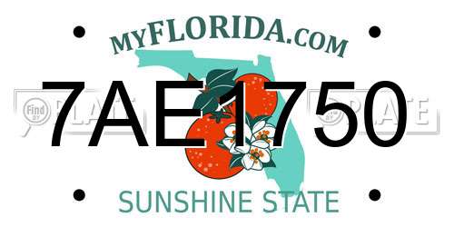 7AE1750 Florida License Plate