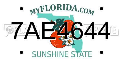7AE4644 Florida License Plate