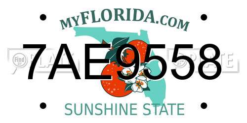 7AE9558 Florida License Plate