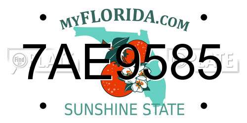 7AE9585 Florida License Plate