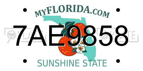 7AE9858 Florida License Plate