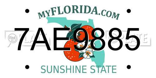7AE9885 Florida License Plate