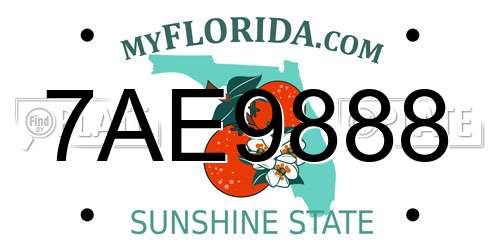 7AE9888 Florida License Plate