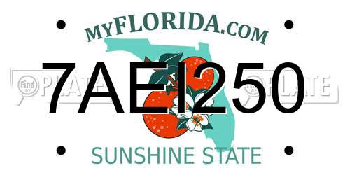 7AEI250 Florida License Plate