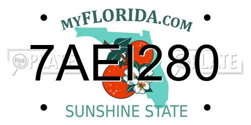 7AEI280 Florida License Plate