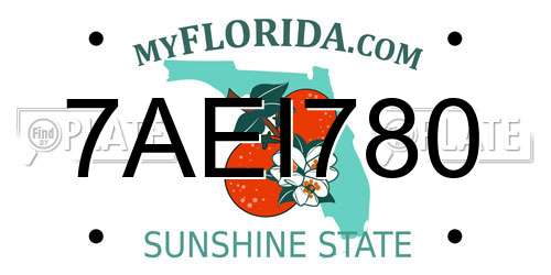 7AEI780 Florida License Plate