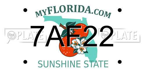 7AF22 Florida License Plate
