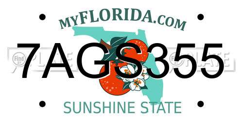 7AGS355 Florida License Plate