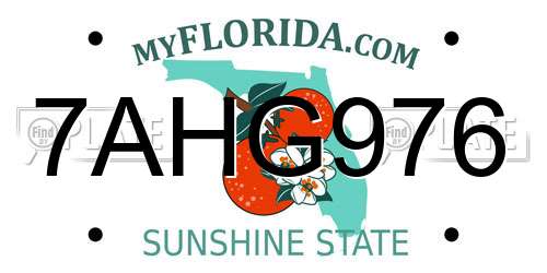 7AHG976 Florida License Plate