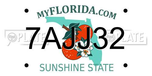 7AJJ32 Florida License Plate