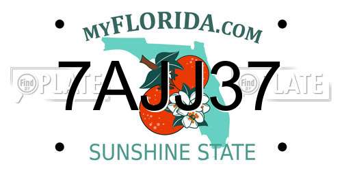 7AJJ37 Florida License Plate
