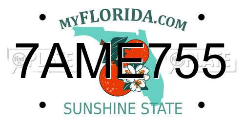 7AME755 Florida License Plate