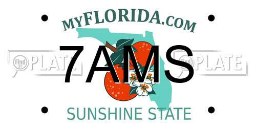 7AMS Florida License Plate