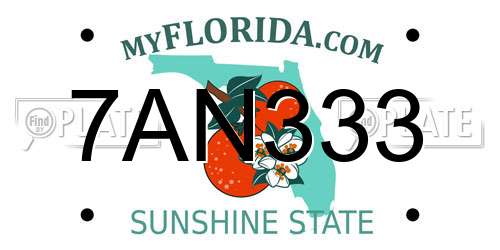 7AN333 Florida License Plate
