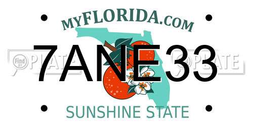 7ANE33 Florida License Plate