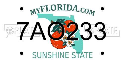 7AO233 Florida License Plate