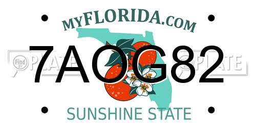 7AOG82 Florida License Plate