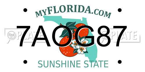 7AOG87 Florida License Plate