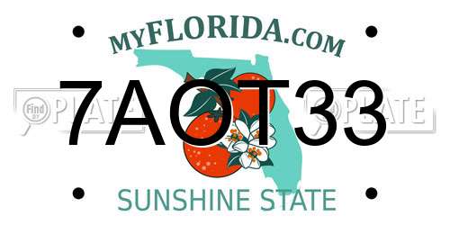 7AOT33 Florida License Plate