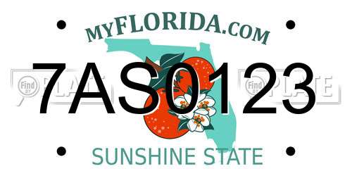 7AS0123 Florida License Plate
