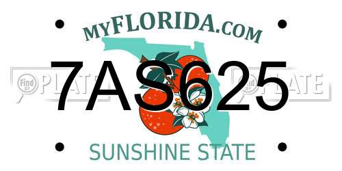 7AS625 Florida License Plate