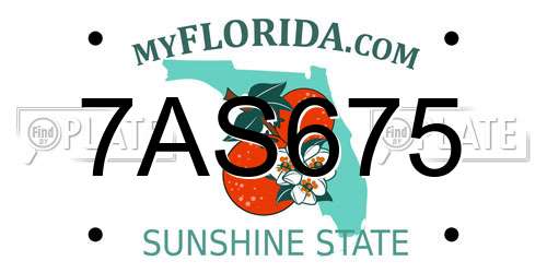 7AS675 Florida License Plate