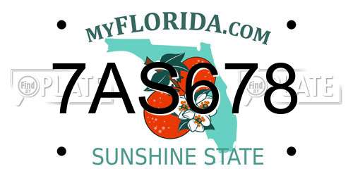 7AS678 Florida License Plate