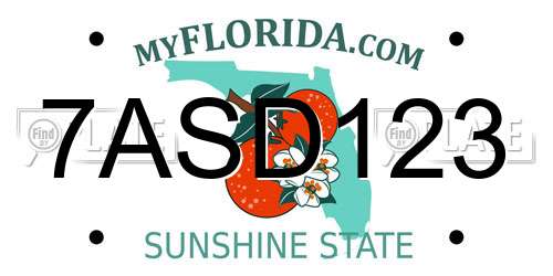 7ASD123 Florida License Plate