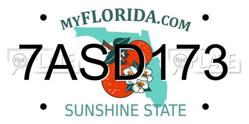 7ASD173 Florida License Plate